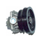 Bomba de água de peças automotivas com certificação ISO 46444355 para Fiat LANCIA